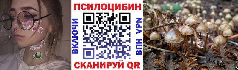 закладки  Протвино  Галлюциногенные грибы Psilocybe 