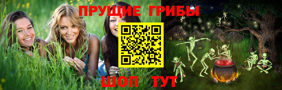 Псилоцибиновые грибы мицелий  Вход с VPN  как найти   Протвино 